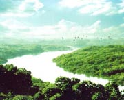 廉江天气预报60天